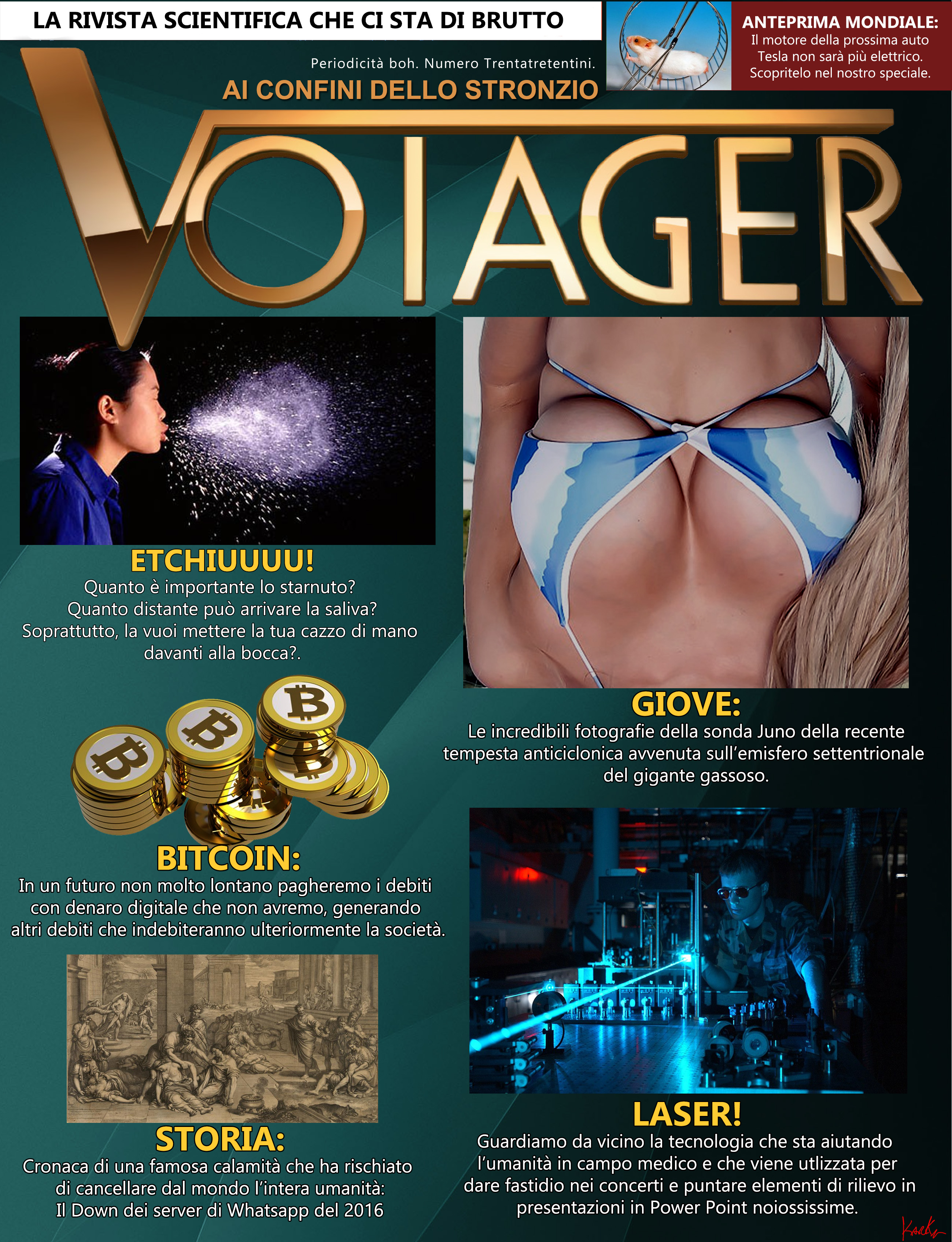 voiager13